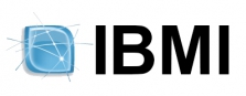 IBMI_Logo